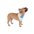Pet Bandana - Dog & Cat Bandana