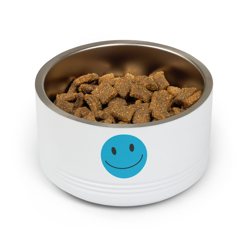 Pet Bowl — 18oz Stainless Steel Dog & Cat Food Dish